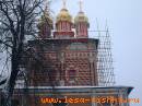 хомутовые леса